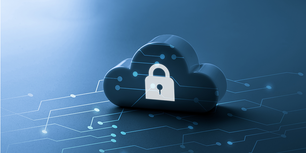Website Access Management Bolsters Security